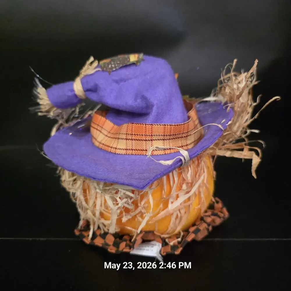 3pc Fiber Optic Halloween Pumpkin Black Cat 8
